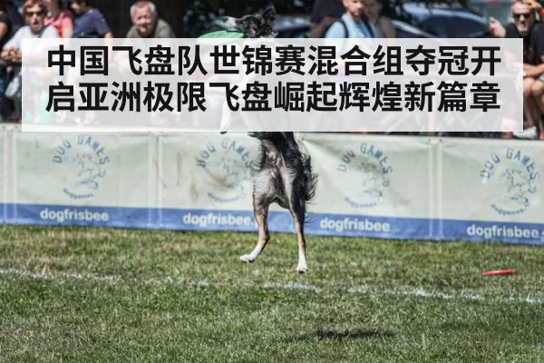 中国飞盘队世锦赛混合组夺冠开启亚洲极限飞盘崛起辉煌新篇章