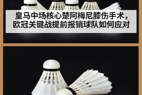 皇马中场核心楚阿梅尼膝伤手术,欧冠关键战提前报销球队如何应对